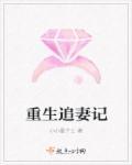 总裁重生追妻记番外