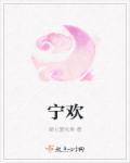 宋斯年宋宁欢