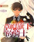 草帽一伙有谁