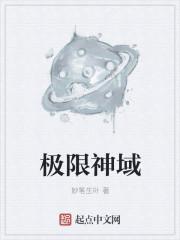 极限神域为什么玩不了