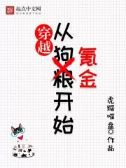 穿越异世氪金
