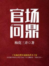 官场问鼎免费阅读