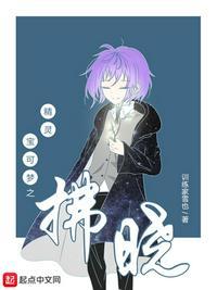 精灵宝可梦之神奇宝贝