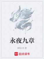 永夜讲的什么