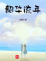 韶华流年舞