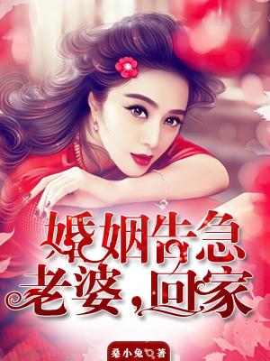 婚姻告急:老婆,回家