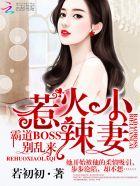 惹火小辣妻:霸道BOSS,别乱来!