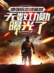 遭强拆忠魂墓地，无数功勋曝光了